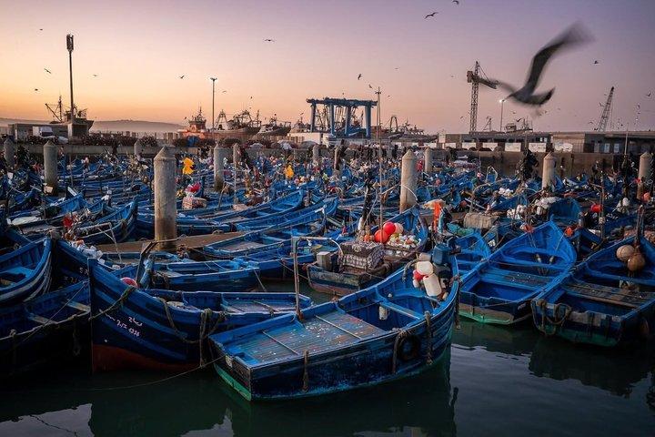 The Coastal Odyssey : Essaouira Day Trip from Marrakech