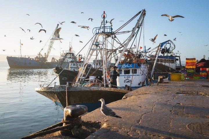 The Coastal Odyssey : Essaouira Day Trip from Marrakech
