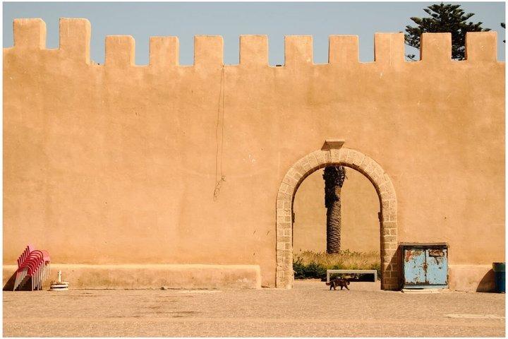 The Coastal Odyssey : Essaouira Day Trip from Marrakech