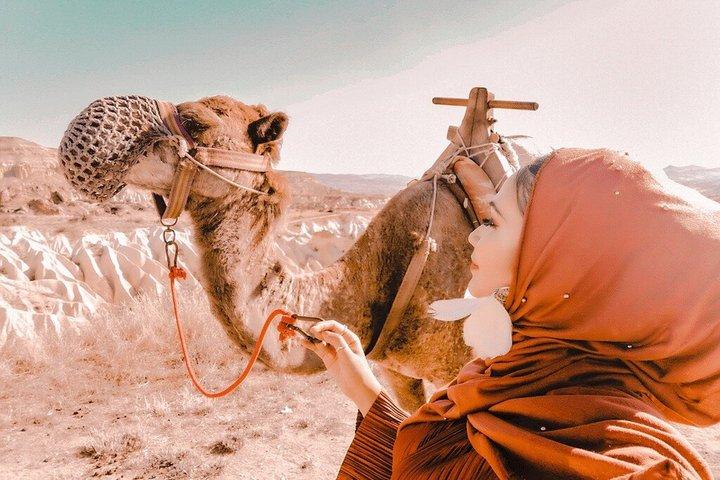 Turkish Delight Tour: Pamukkale, Ephesus, Cappadocia & Camel Ride