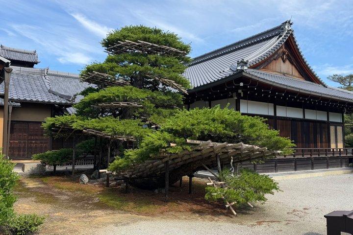 京都プライベートハイライトツアー（カスタマイズ可能）