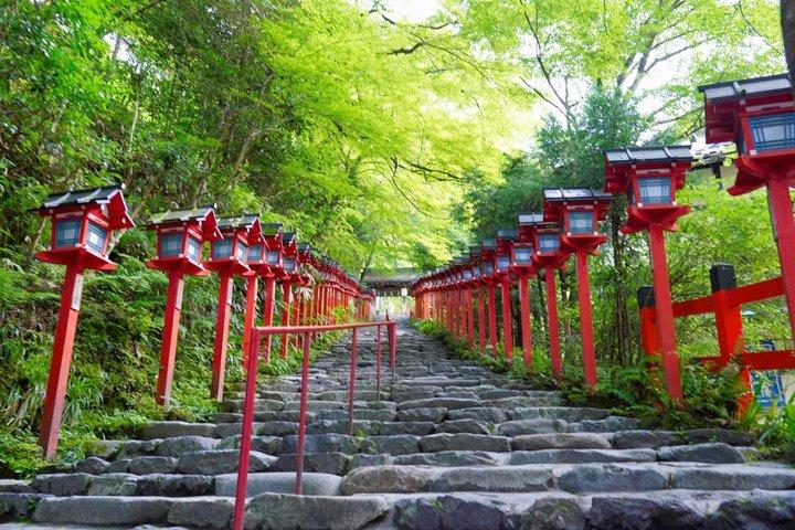 京都プライベートハイライトツアー（カスタマイズ可能）