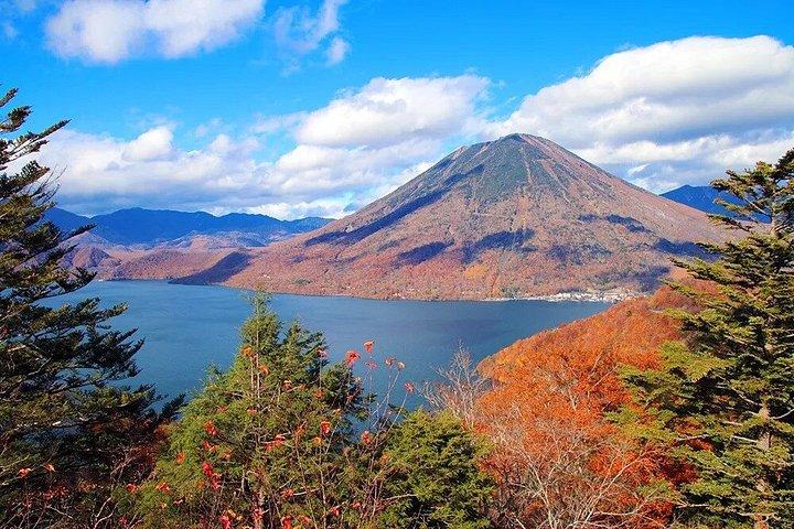 ムスリム＆ヴィーガンオプション付き東京プライベート日光ツアーより