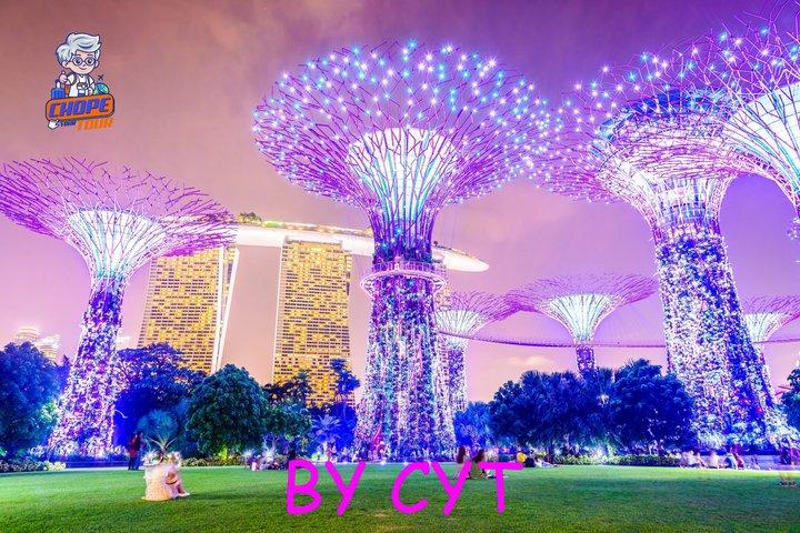 By CYT: Singapore River Cruise, Night Garden Rhapsody & Spectra