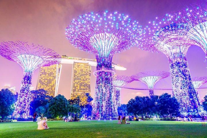 By CYT: Singapore River Cruise, Night Garden Rhapsody & Spectra