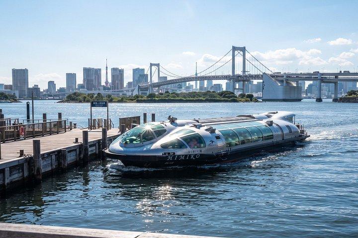 東京：チームラボプラネッツ＆お台場ガイドツアー