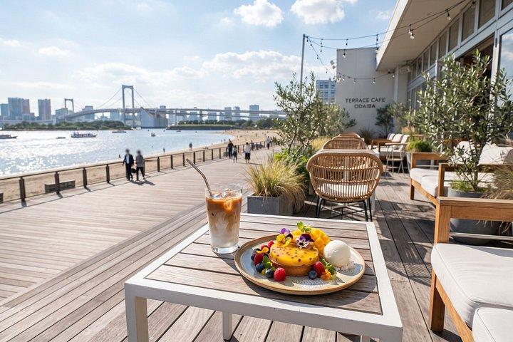 東京：チームラボプラネッツ＆お台場ガイドツアー