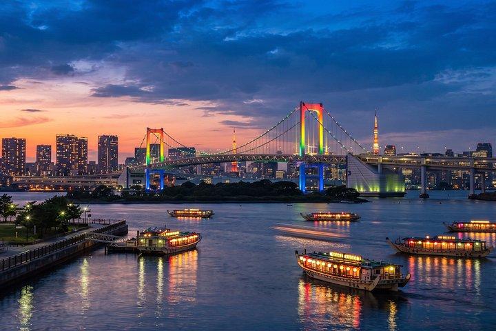 東京：チームラボプラネッツ＆お台場ガイドツアー