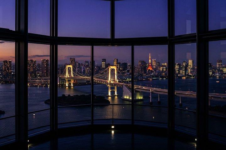 東京：チームラボプラネッツ＆お台場ガイドツアー