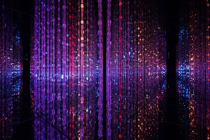 Visite privée de Tokyo : teamLab Borderless & Imperial Palace