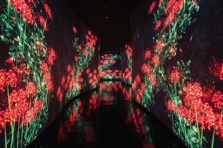 Visite privée de Tokyo : teamLab Borderless & Imperial Palace