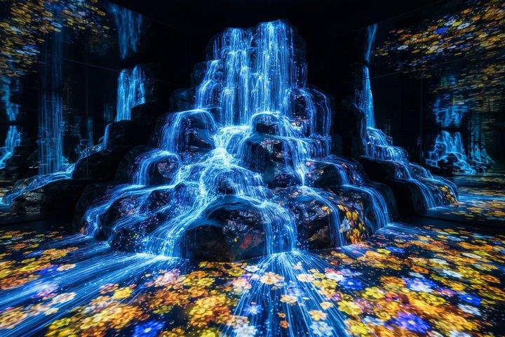 Tokyo Private Tour: teamLab Borderless & Imperial Palace