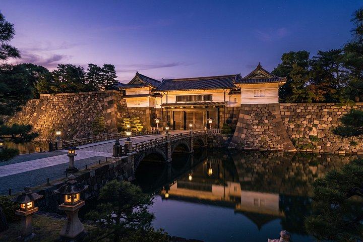 Visite privée de Tokyo : teamLab Borderless & Imperial Palace