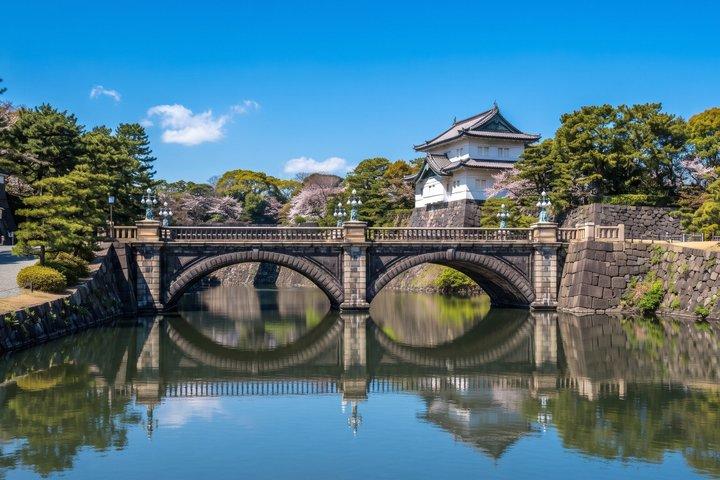 Tokyo Private Tour: teamLab Borderless & Imperial Palace