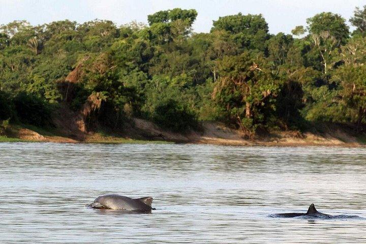 Excursão de 2 dias na Amazônia e no Lago Ipanema