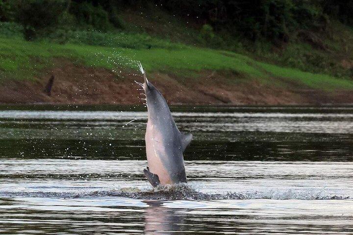 アマゾンジャングルとイパネマ湖2日間小旅行
