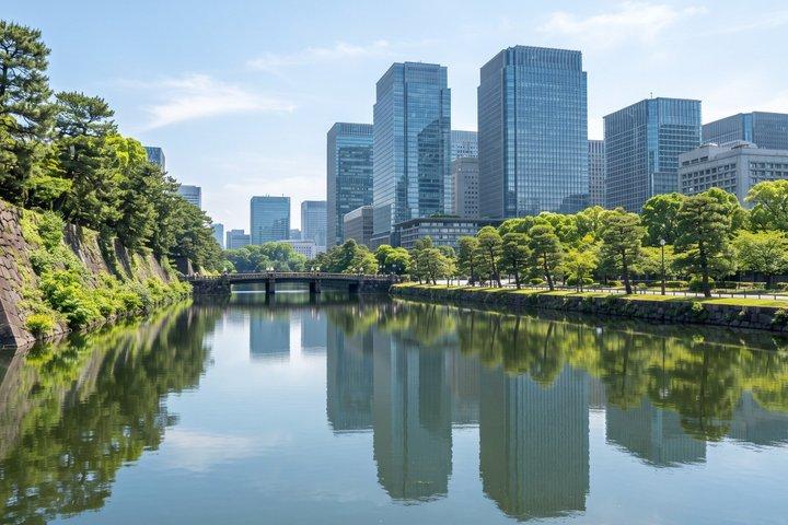 Tokyo Private Tour: teamLab Borderless & Imperial Palace