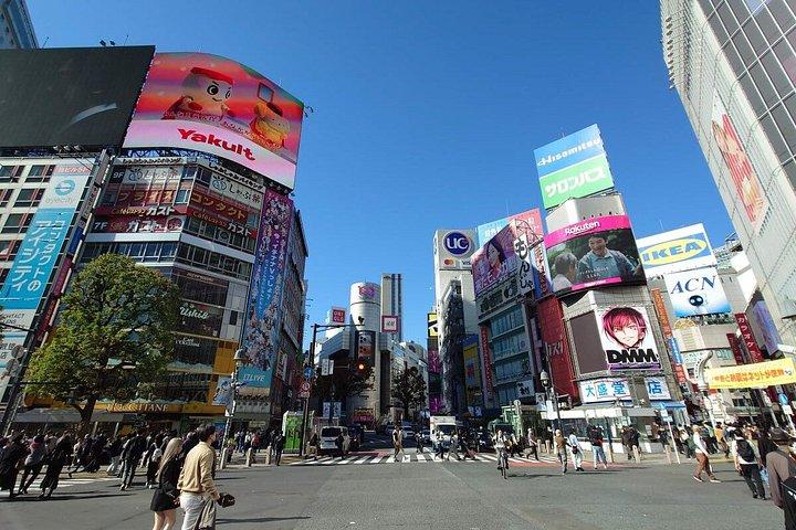 渋谷・秋葉原アニメ・ゲーム文化ツアー