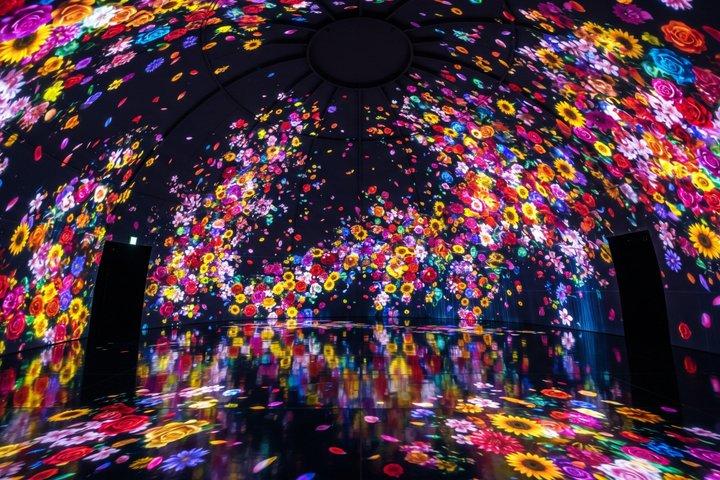 Private Tour durch Tokio: teamLab Planets & Tsukiji-Markt
