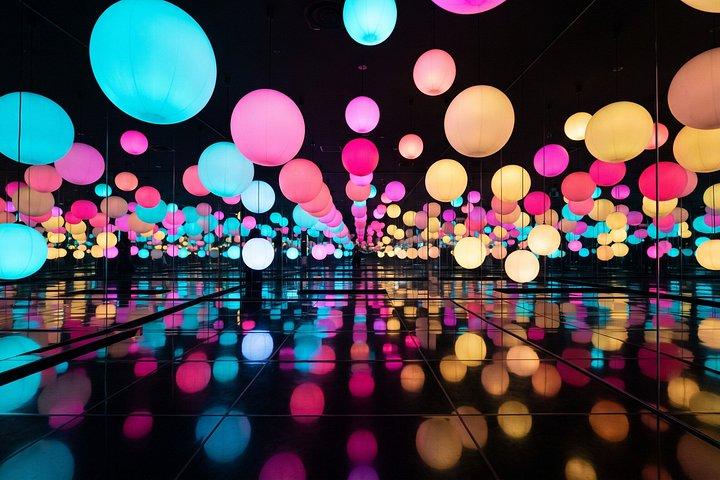 東京プライベートツアー チームラボプラネッツと築地市場