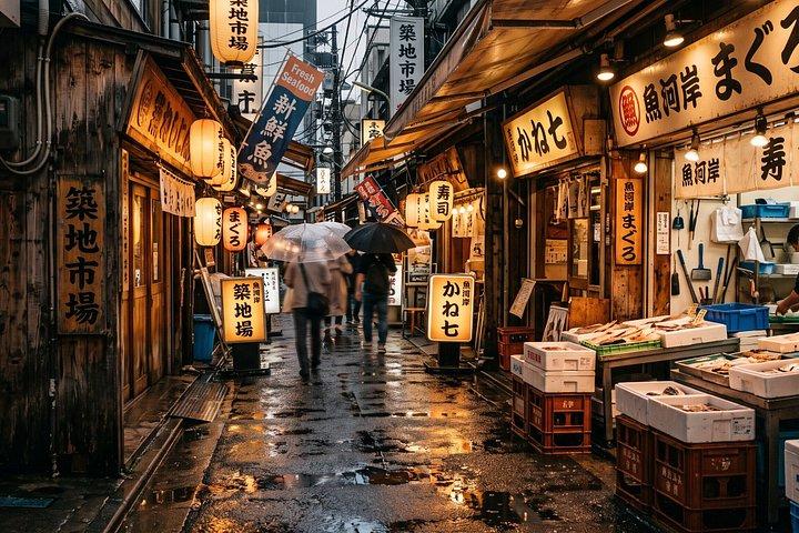 東京プライベートツアー チームラボプラネッツと築地市場