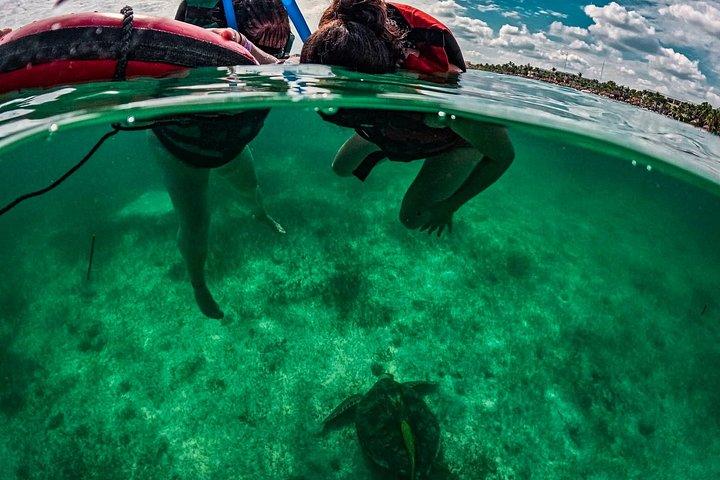 Akumal turtles sanctuary and go pro photos