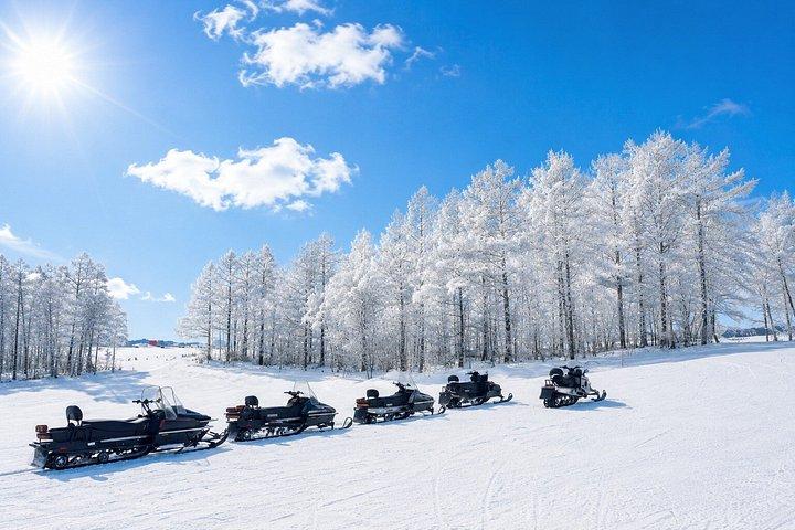 From Sapporo：Snow Fun Shirahige Falls Ningle Terrace day tour
