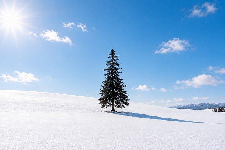 札幌発:雪遊び 白ひげの滝 ニンゲルテラス日帰りツアー