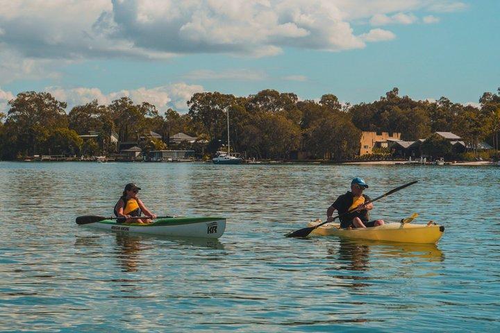 Mangroves and Mansions Guided Kayak Tour on the Noosa River