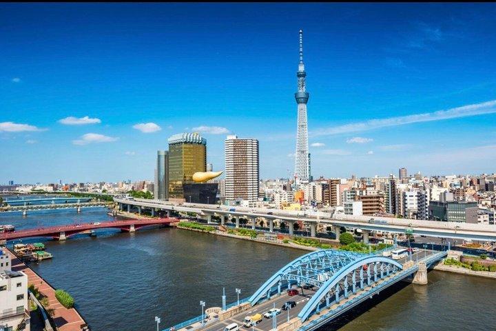 Tour privato di un'intera giornata a Tokyo con Guida Inglese