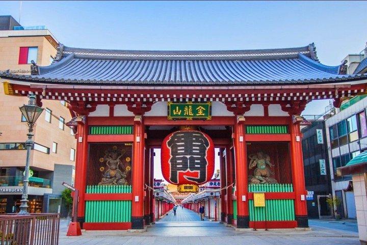 Tour privato di un'intera giornata a Tokyo con Guida Inglese
