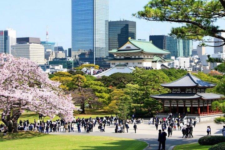 Tour privato di un'intera giornata a Tokyo con Guida Inglese