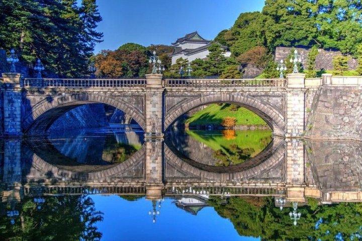 Tour privato di un'intera giornata a Tokyo con Guida Inglese