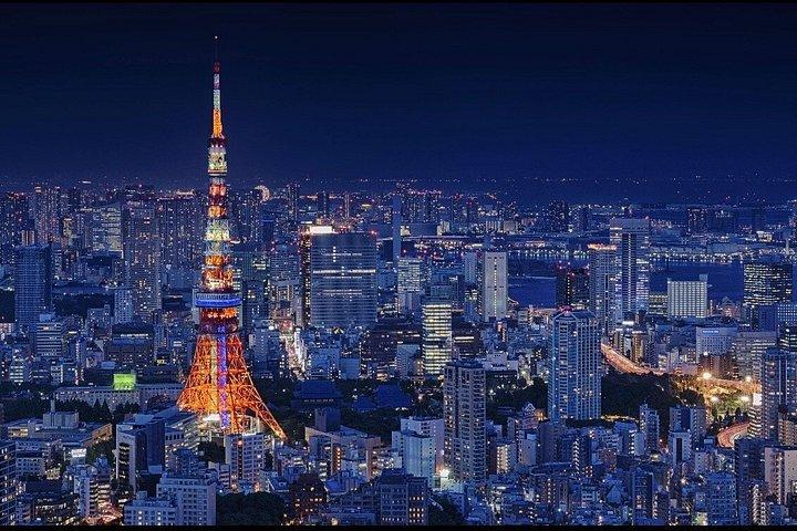 Tokyo Full Day privat tur med engelsk guide