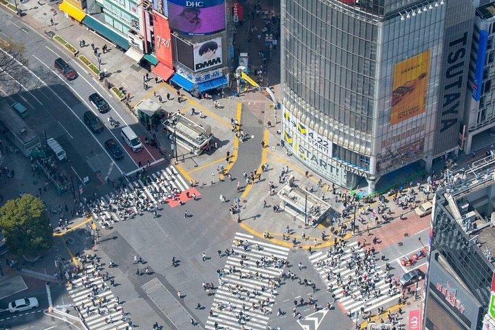 Tokyo Full Day privat tur med engelsk guide