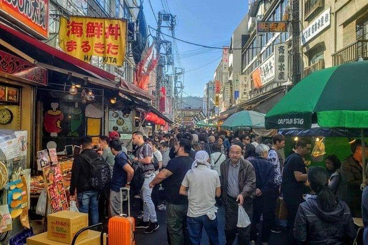 Tokyo Full Day privat tur med engelsk guide