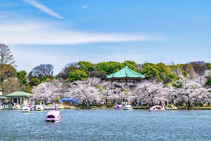 Tokyo Full Day privat tur med engelsk guide