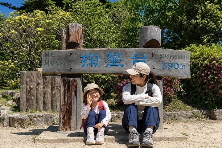 大阪/京都：10時間 ロッコファーム＆マヤ夜景プライベートツアー