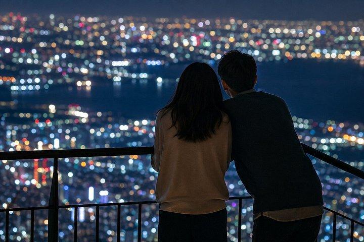 大阪/京都：10時間 ロッコファーム＆マヤ夜景プライベートツアー