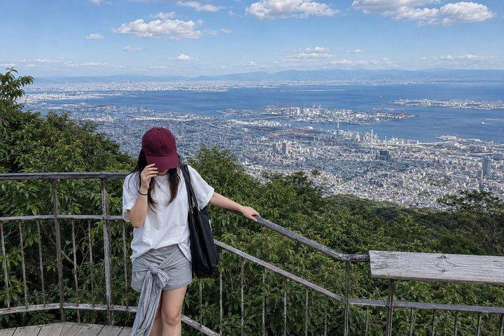 大阪/京都：10時間 ロッコファーム＆マヤ夜景プライベートツアー