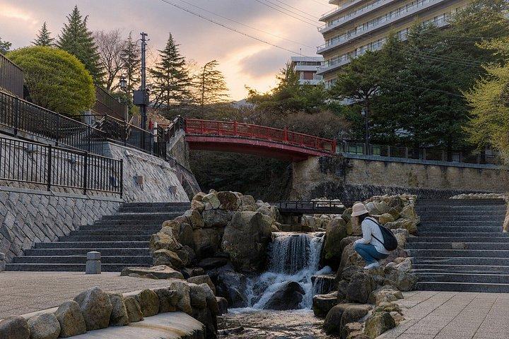 大阪/京都：10時間 ロッコファーム＆マヤ夜景プライベートツアー