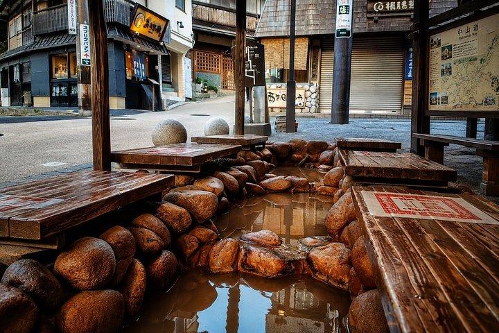 大阪/京都：10時間 ロッコファーム＆マヤ夜景プライベートツアー