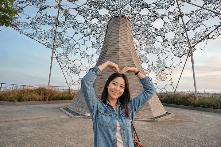 大阪/京都：10時間 ロッコファーム＆マヤ夜景プライベートツアー