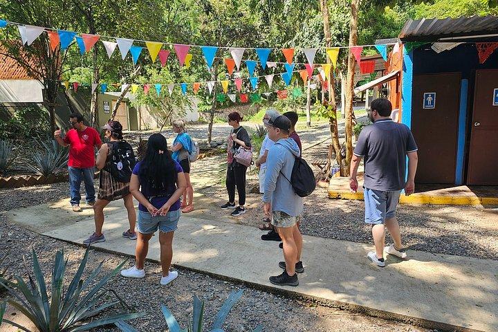 Puerto Vallarta Private Tacos and Tequila Experience
