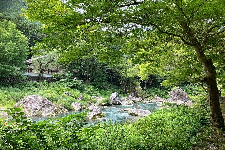 東京と奥多摩のアートネイチャーと酒蔵散策ツアー