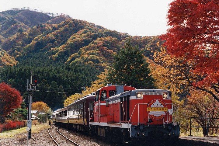 わたらせ渓谷鐵道で群馬紅葉ツアー