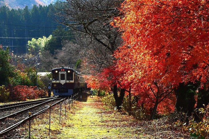 わたらせ渓谷鐵道で群馬紅葉ツアー