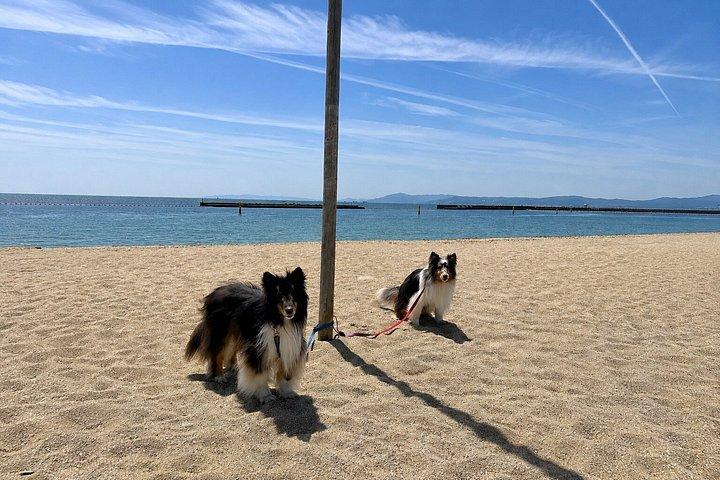 大阪・京都発プライベート神戸海岸と明石食日帰りツアー
