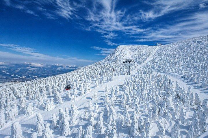 東京から軽井沢リゾートへのプライベート送迎