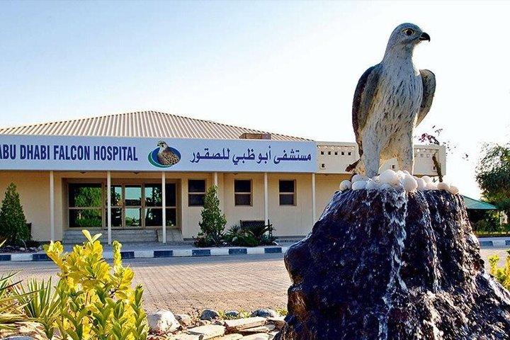 Falcon Hospital Tour with Transportation